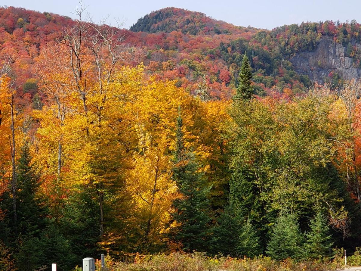 Chalet F116 Mont-Tremblant Nord Lac-Superieur Buitenkant foto