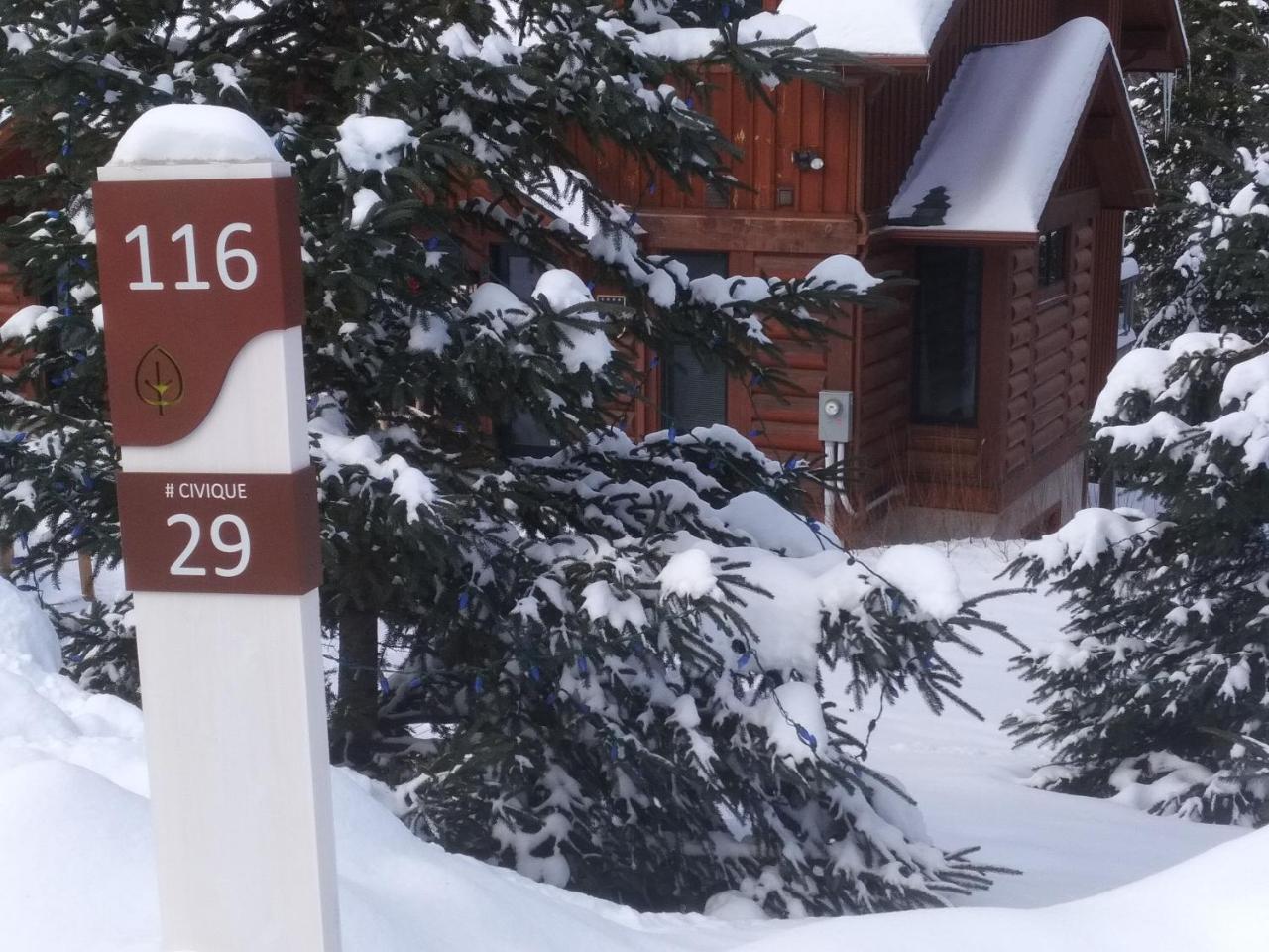 Chalet F116 Mont-Tremblant Nord Lac-Superieur Buitenkant foto