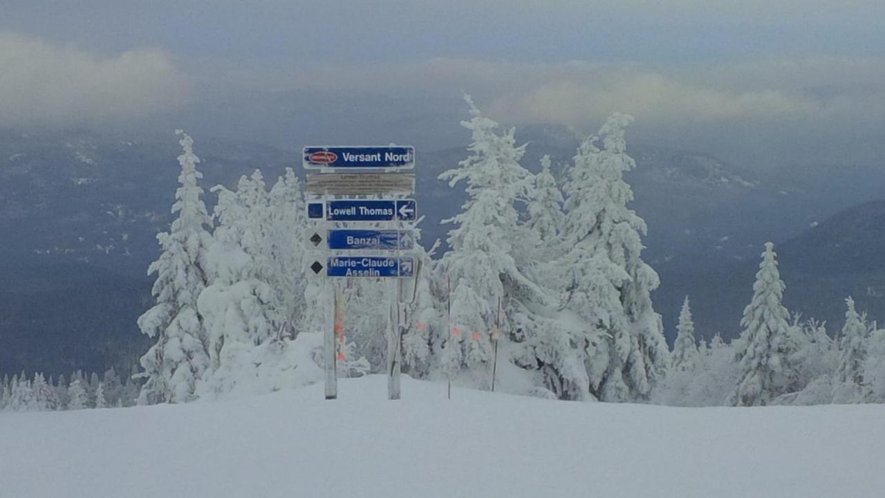 Chalet F116 Mont-Tremblant Nord Lac-Superieur Buitenkant foto